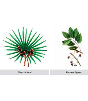 planta sabal y planta pygeum