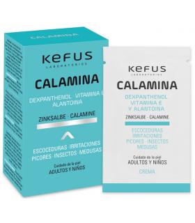 Kefus Calamina con Dexpanthenol Kefus 10 sobres de 5 gr