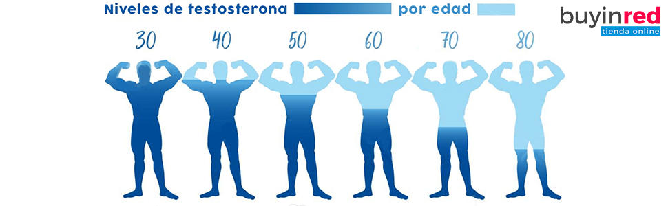 Niveles de testosterona según la edad